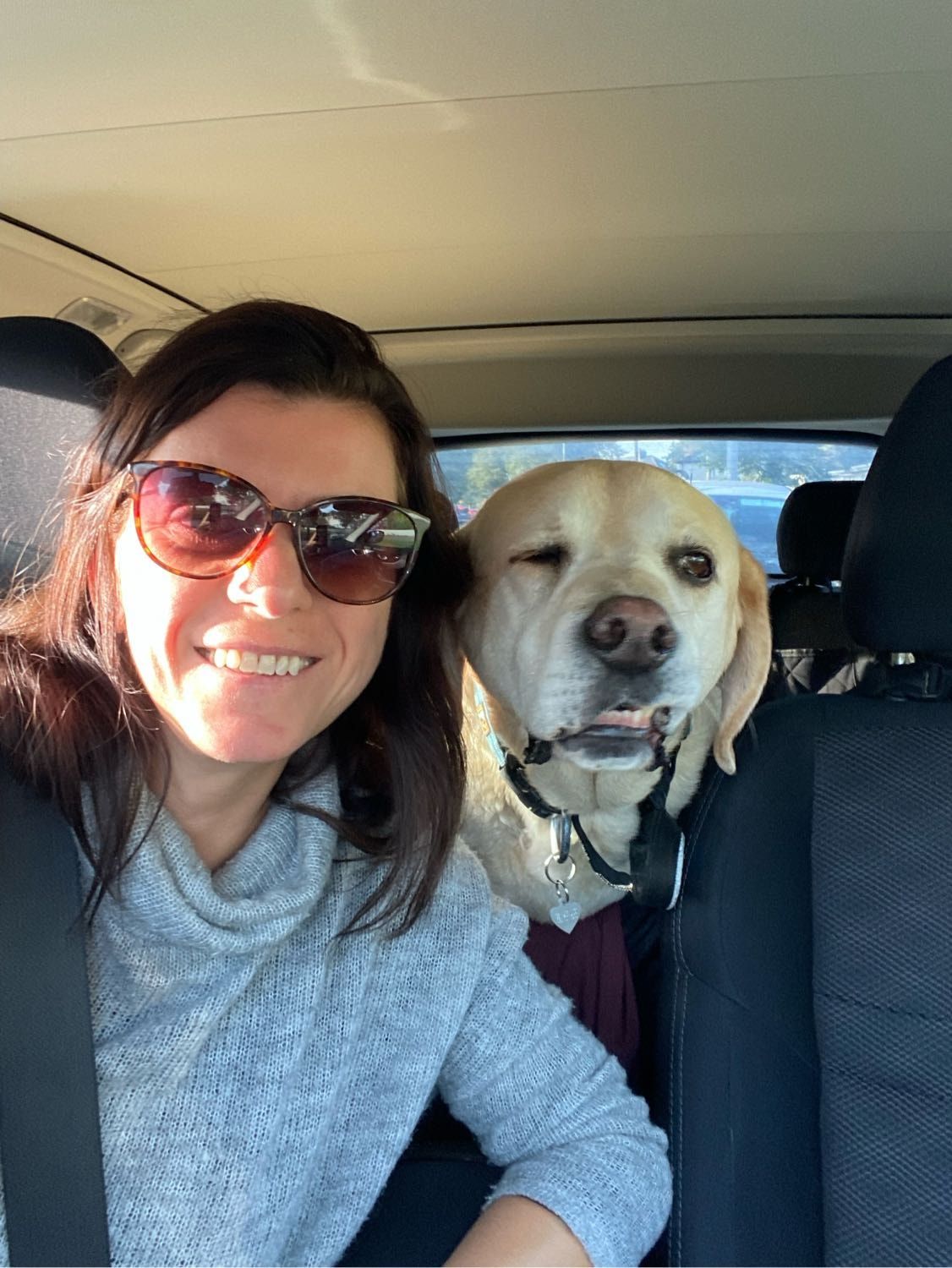 image-50