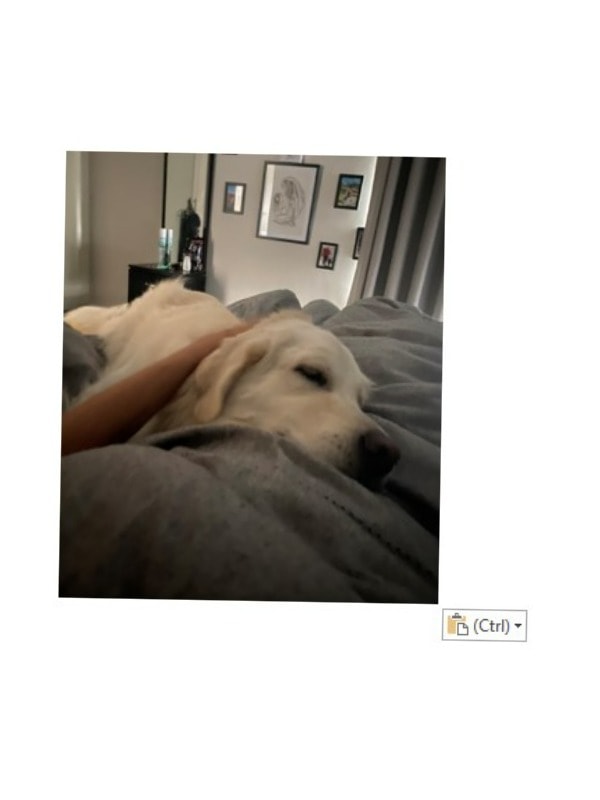 image-48