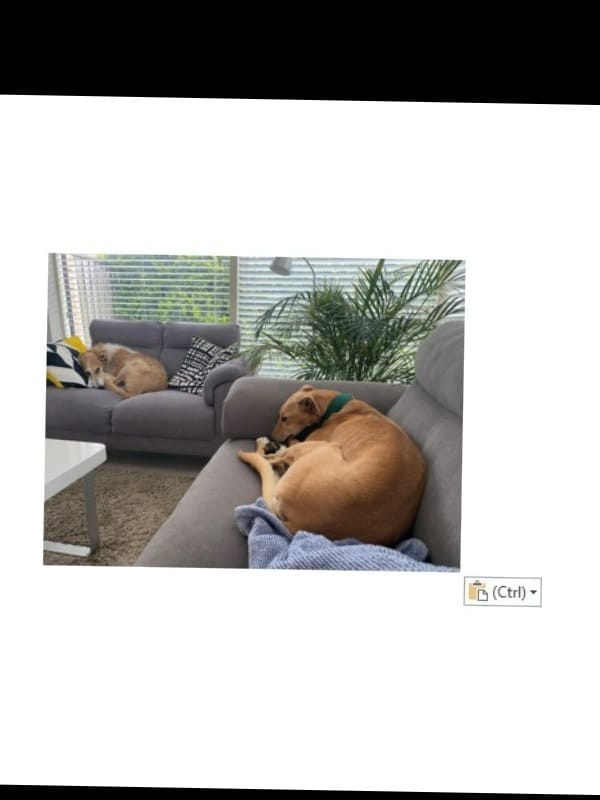 image-44