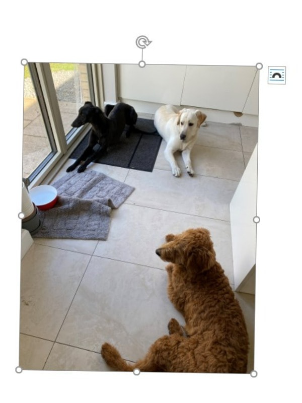 image-33