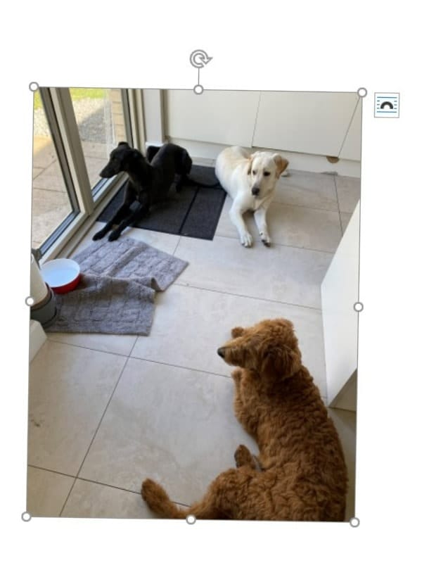 image-33