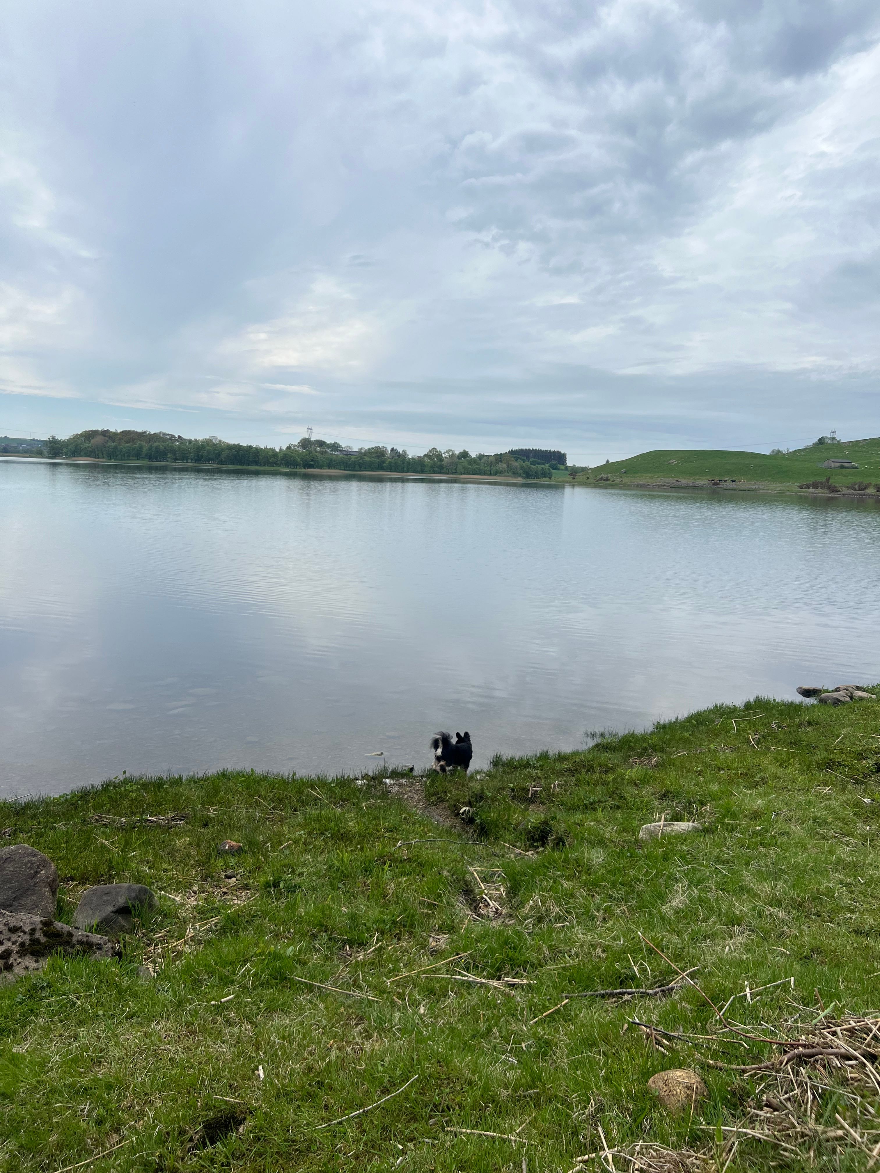 image-10