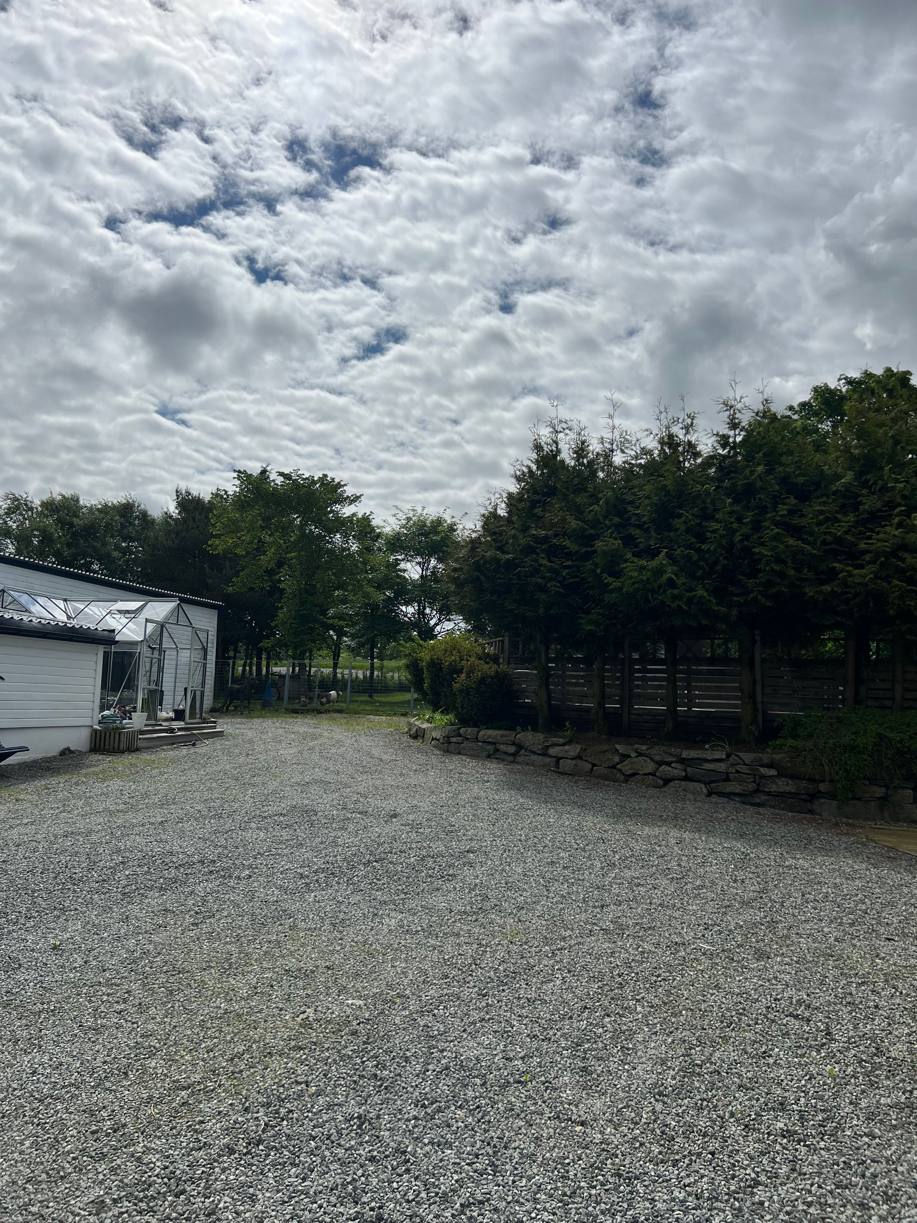 image-16
