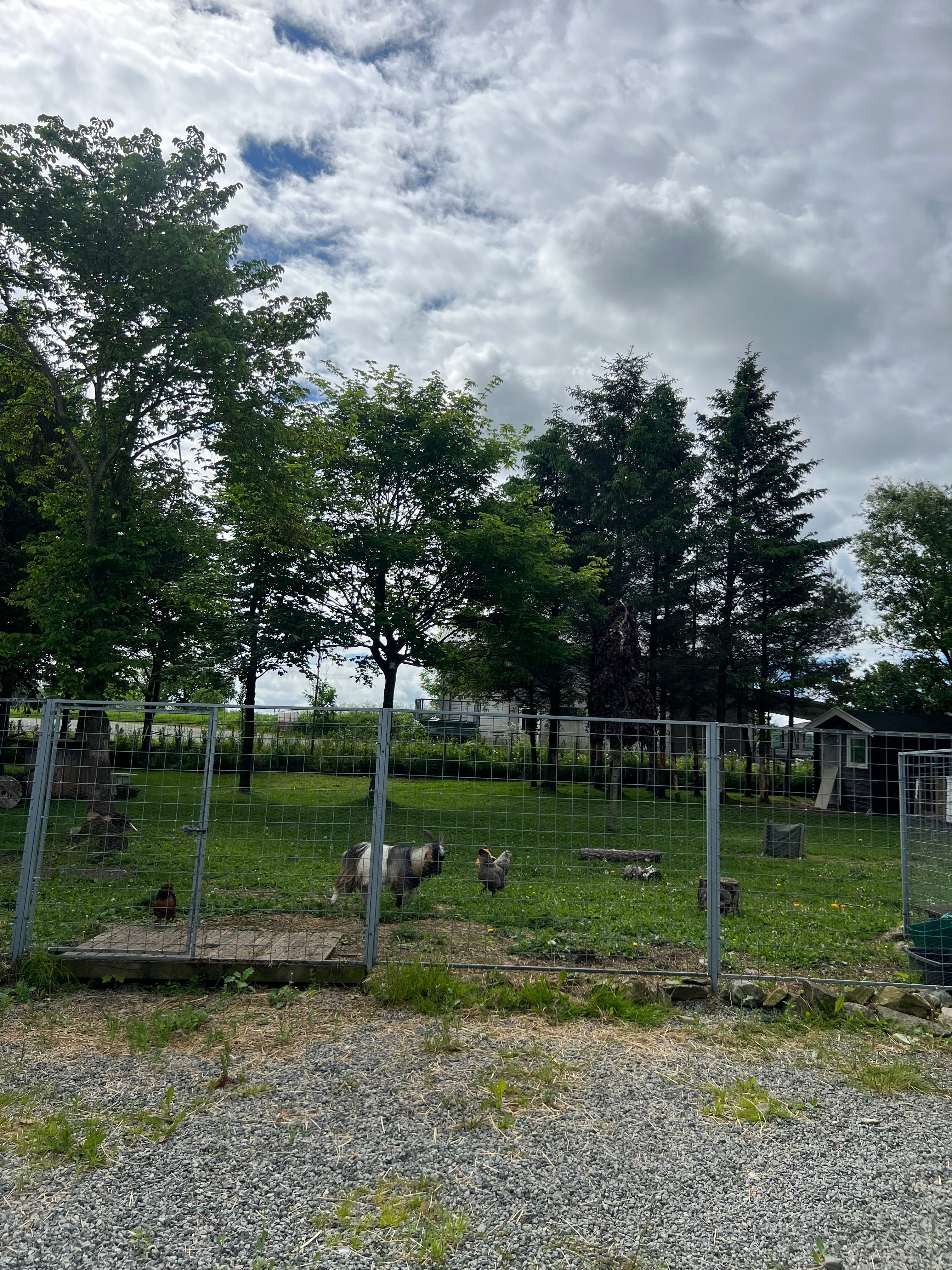 image-19