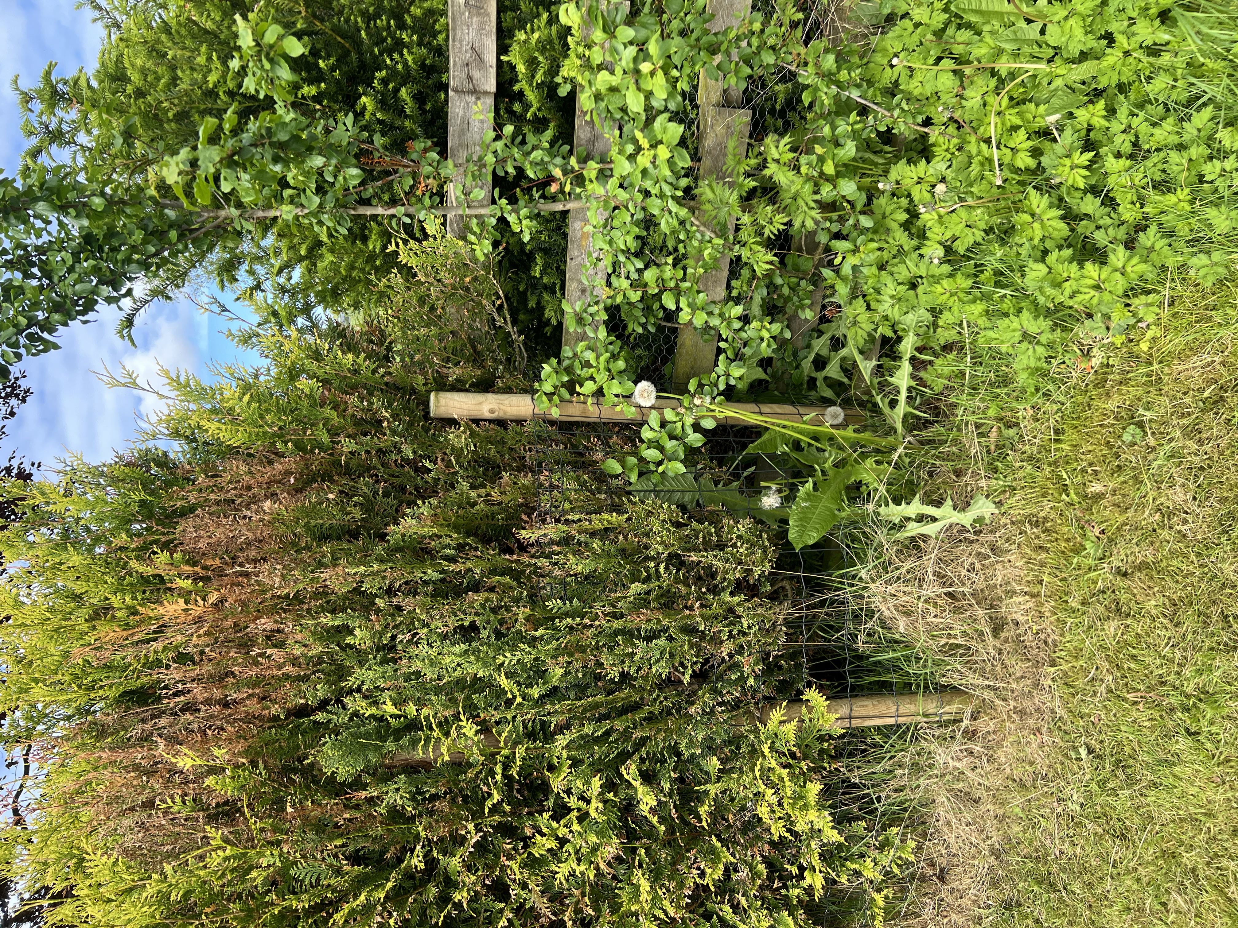 image-20