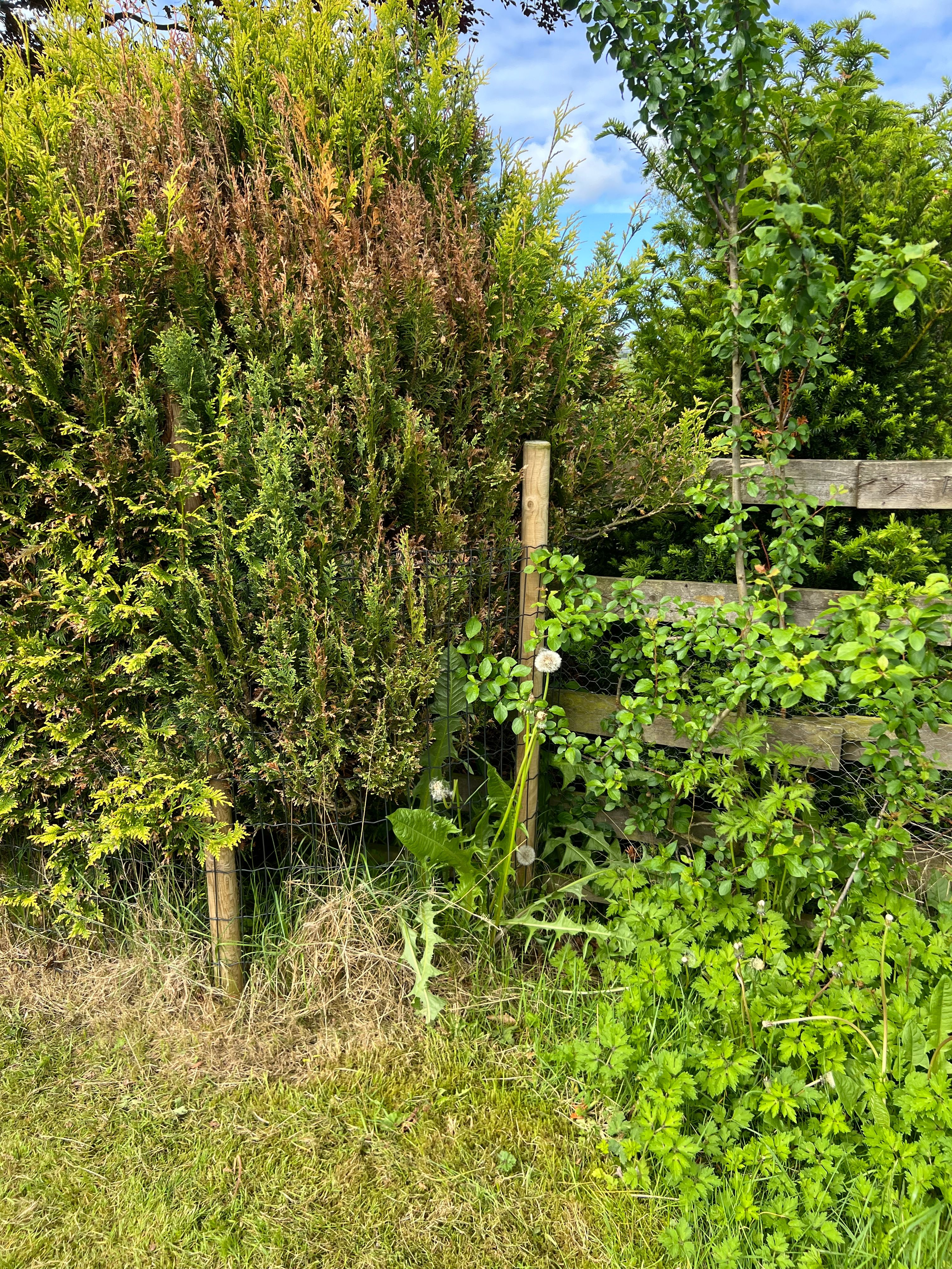 image-20