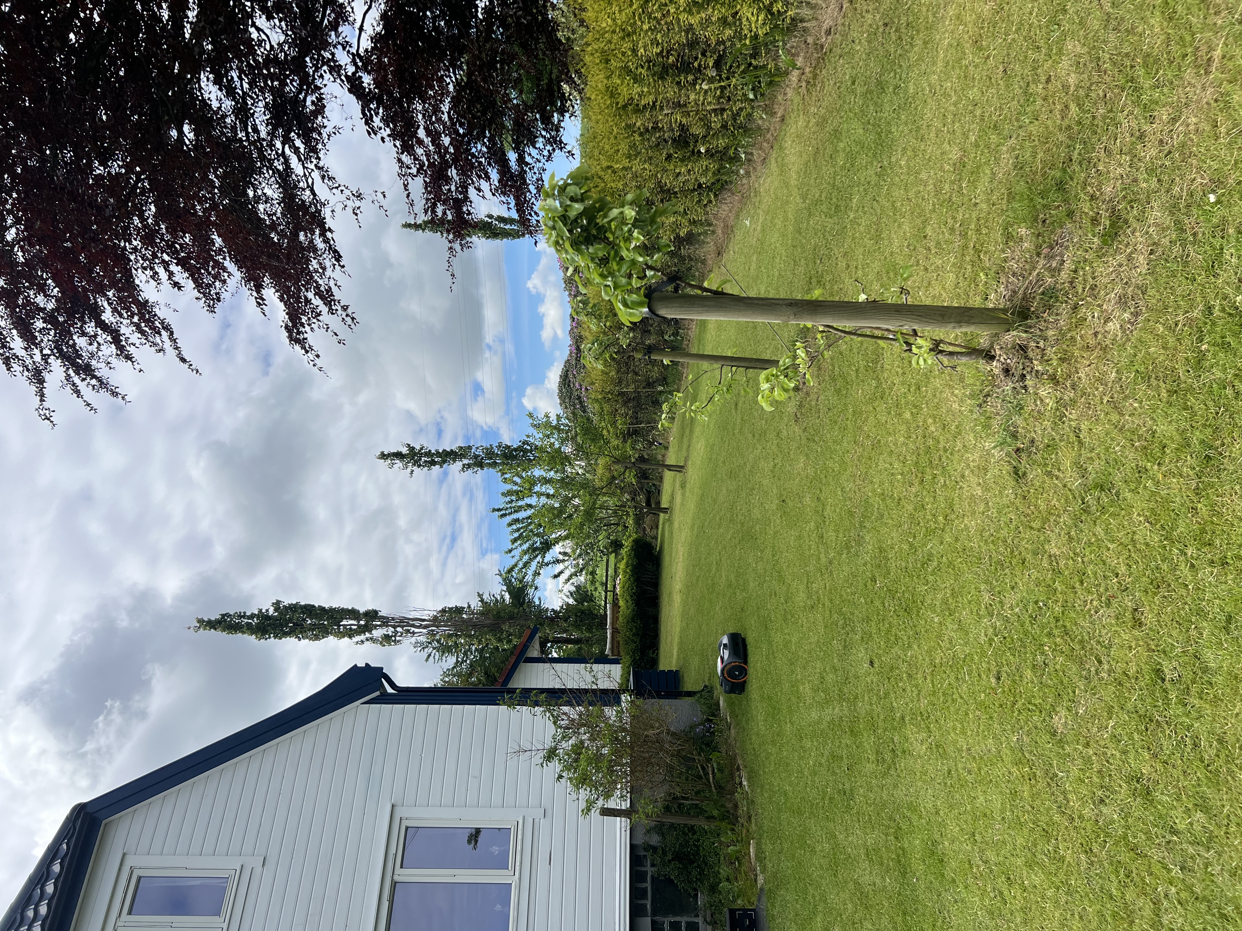 image-18