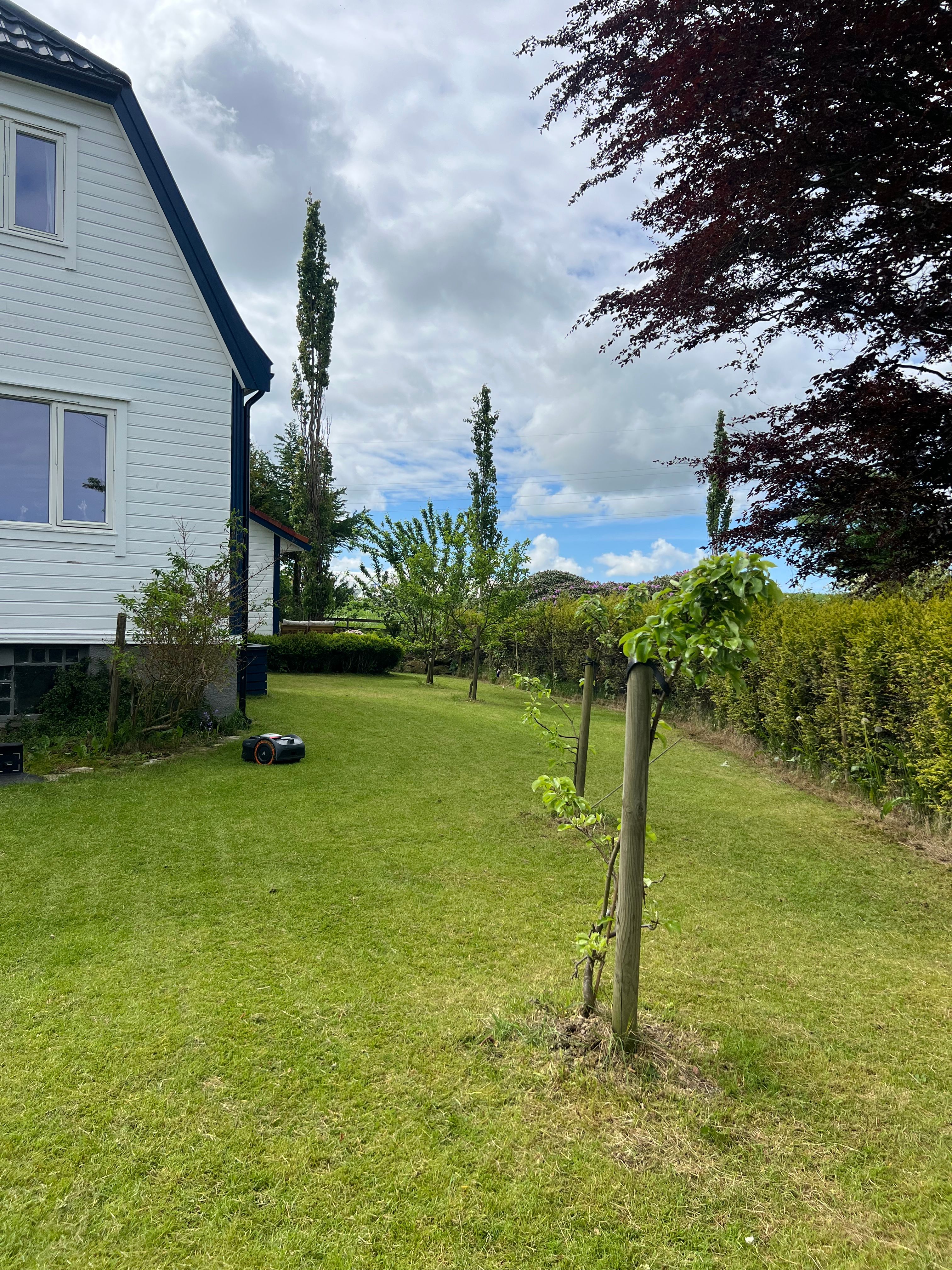 image-18