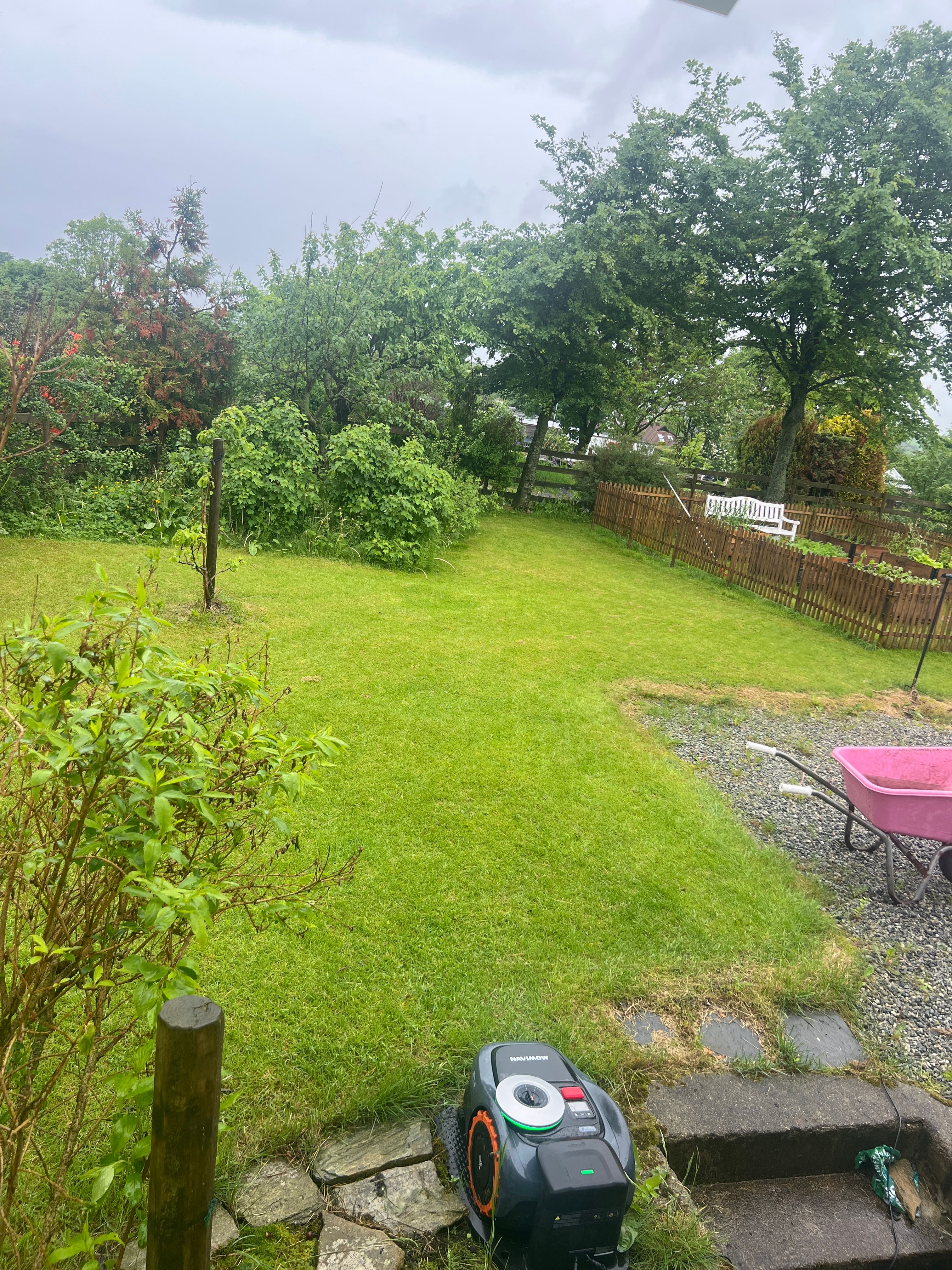 image-23
