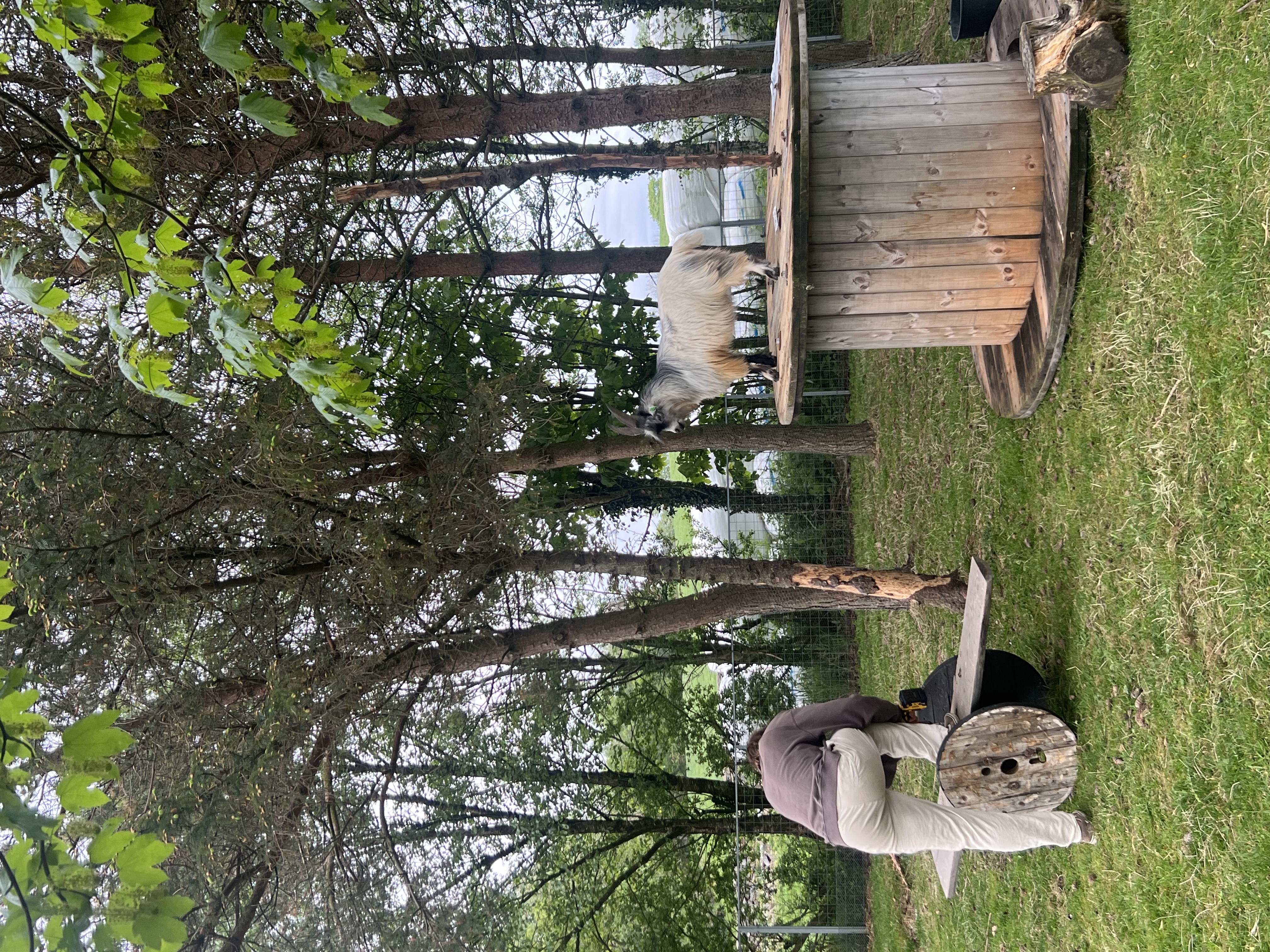 image-15