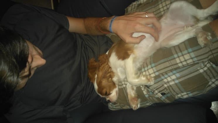 image-5