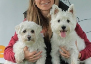 Bianco, Higgins 