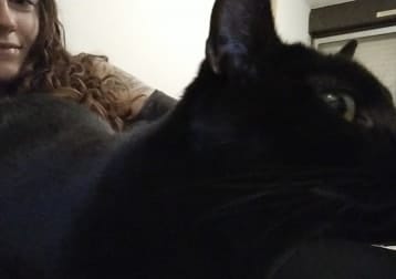 Rajah