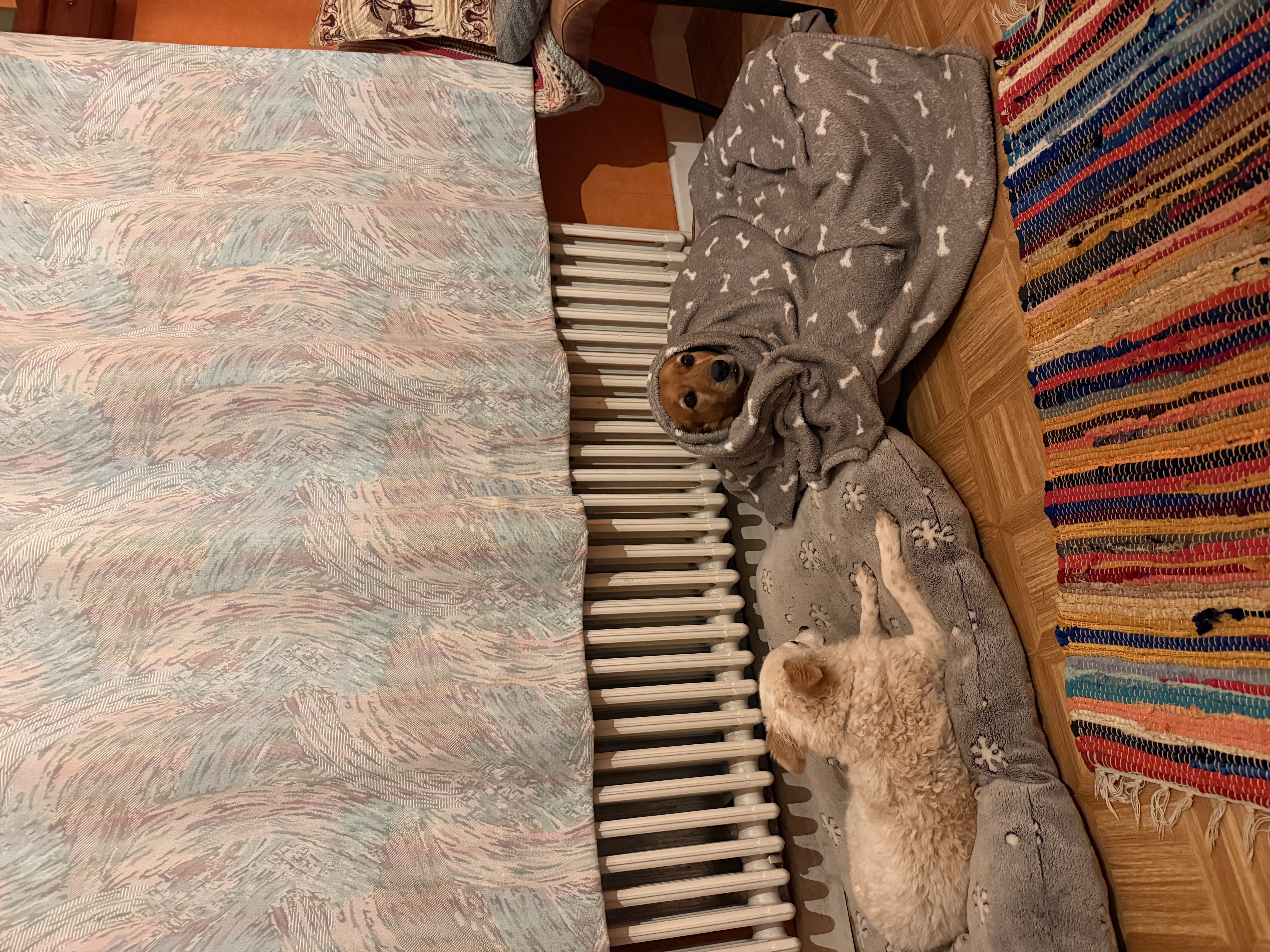 image-16
