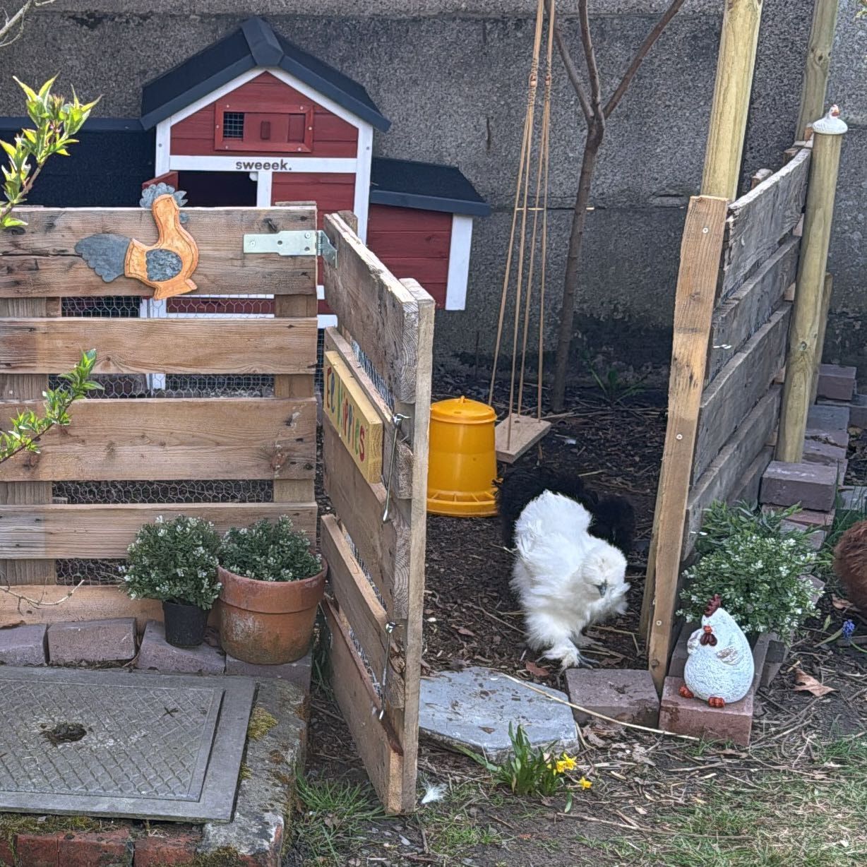 Mariëtte, Kiki en Witte Pascal