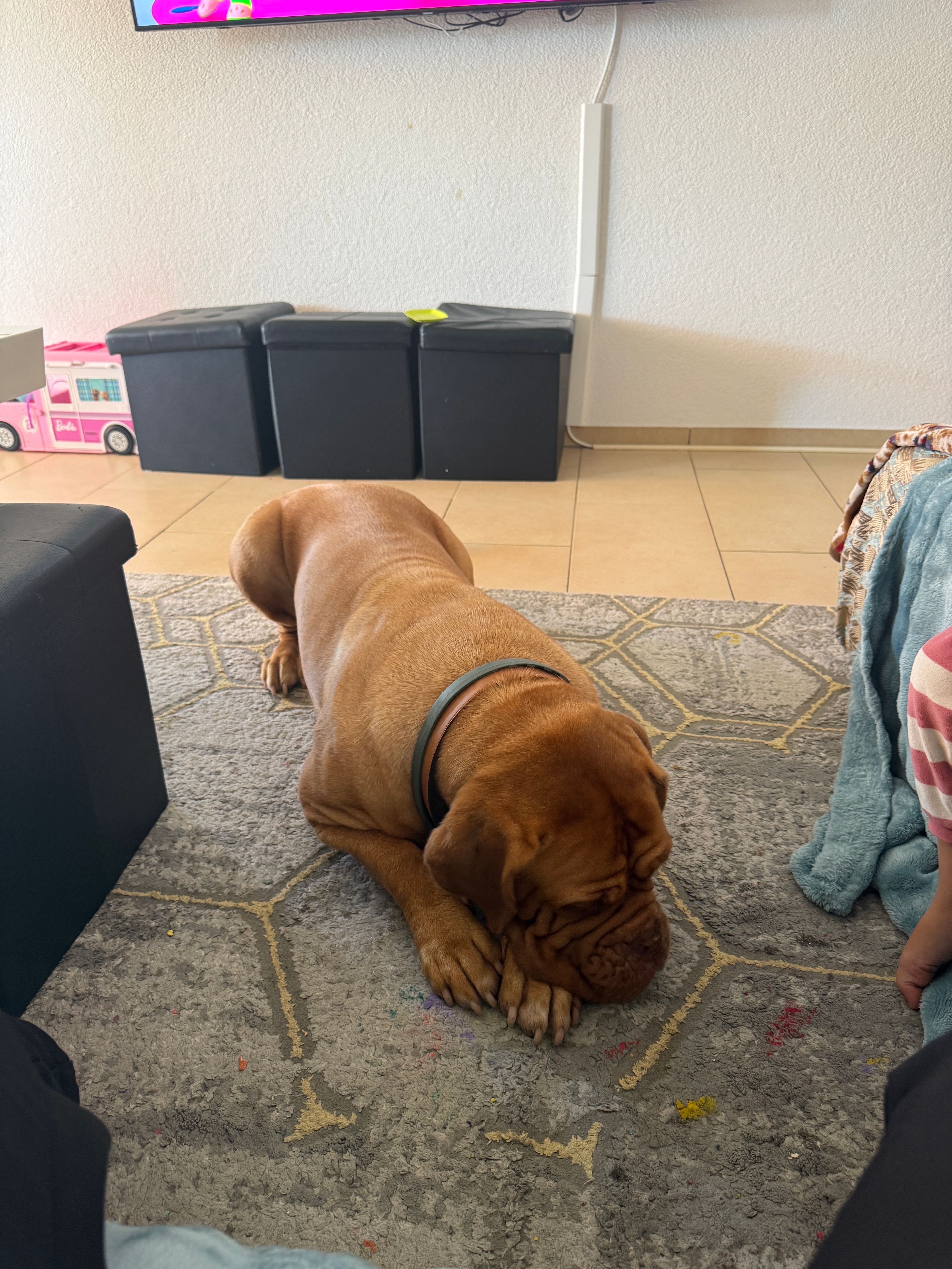 image-17