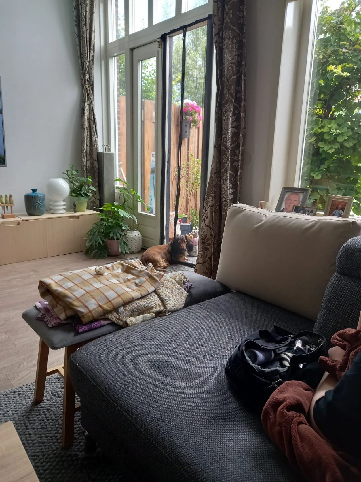 image-12