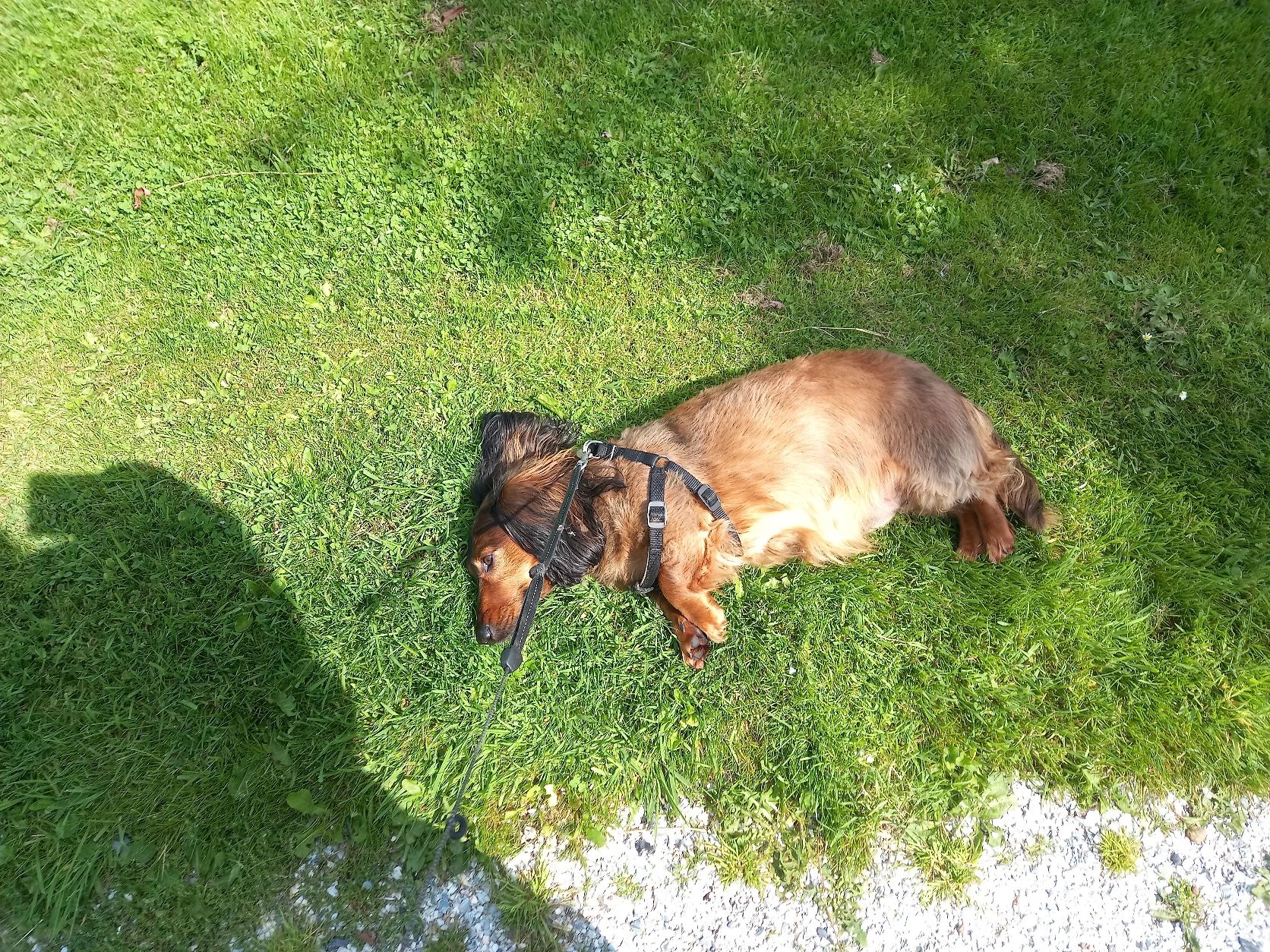 image-7