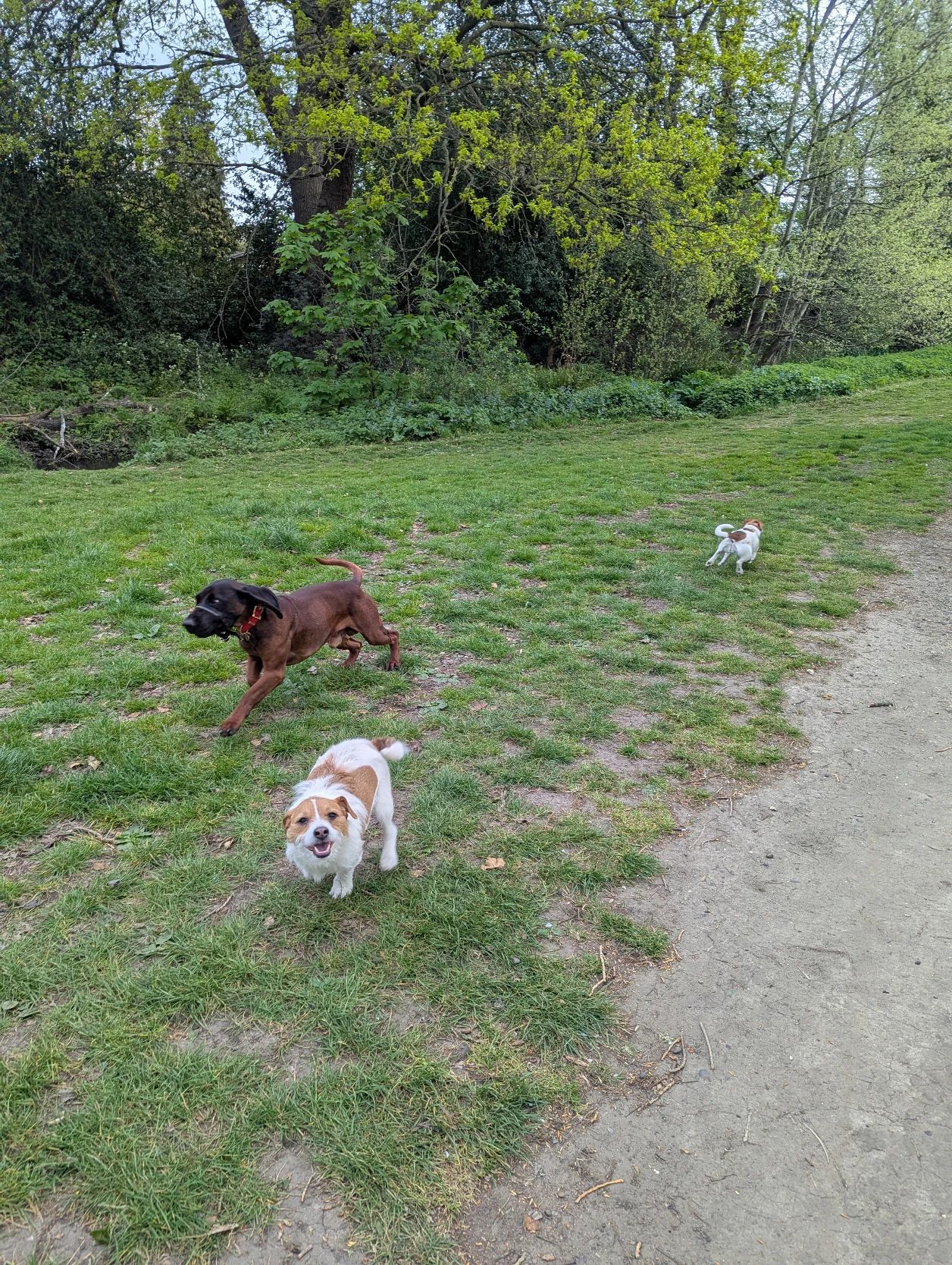 image-13