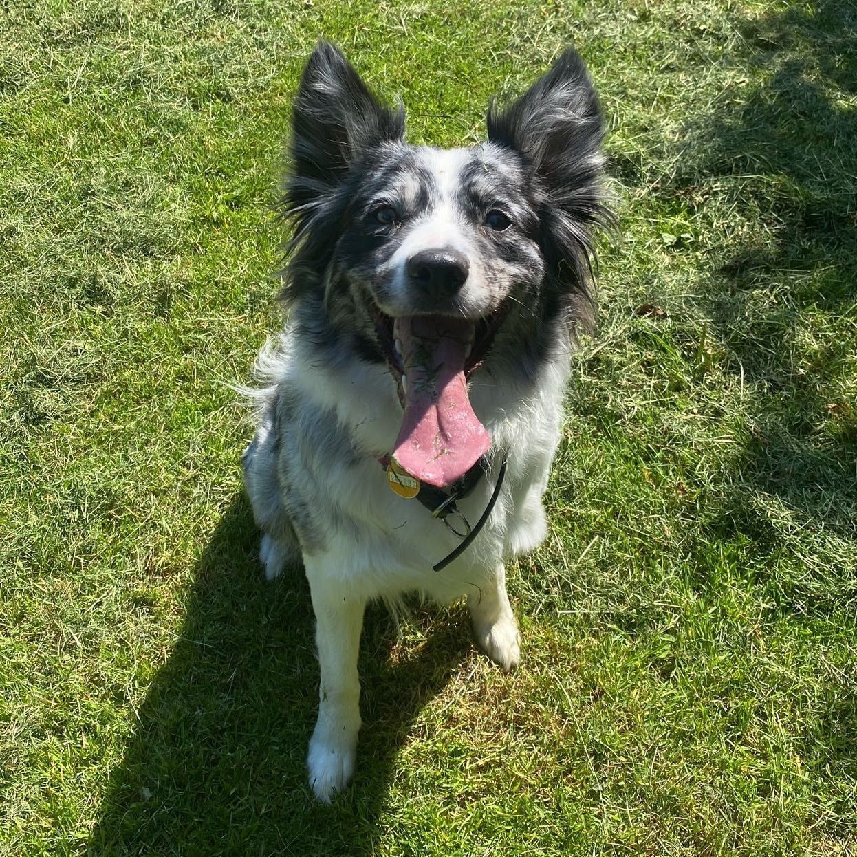 Yuki