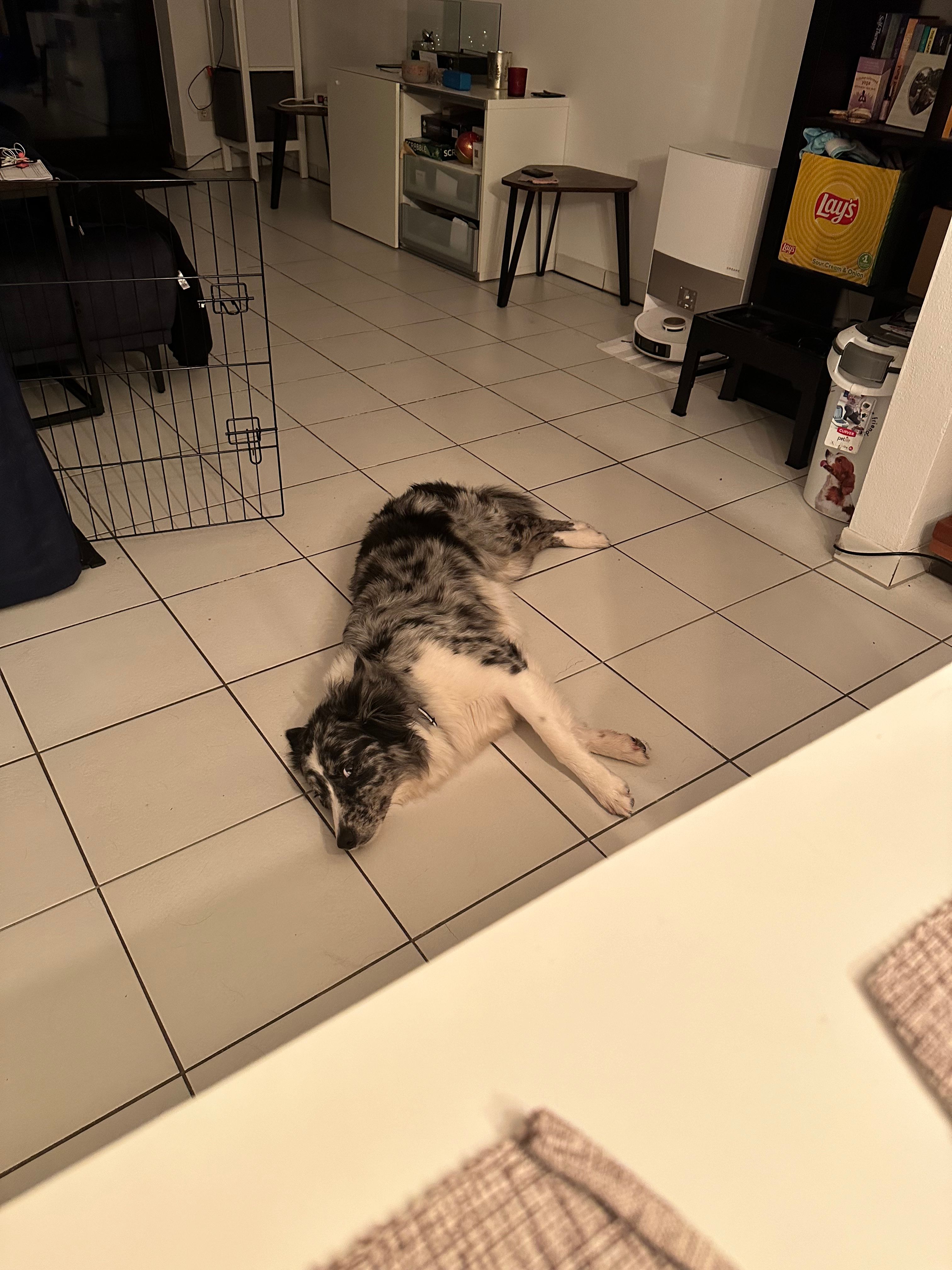 image-13