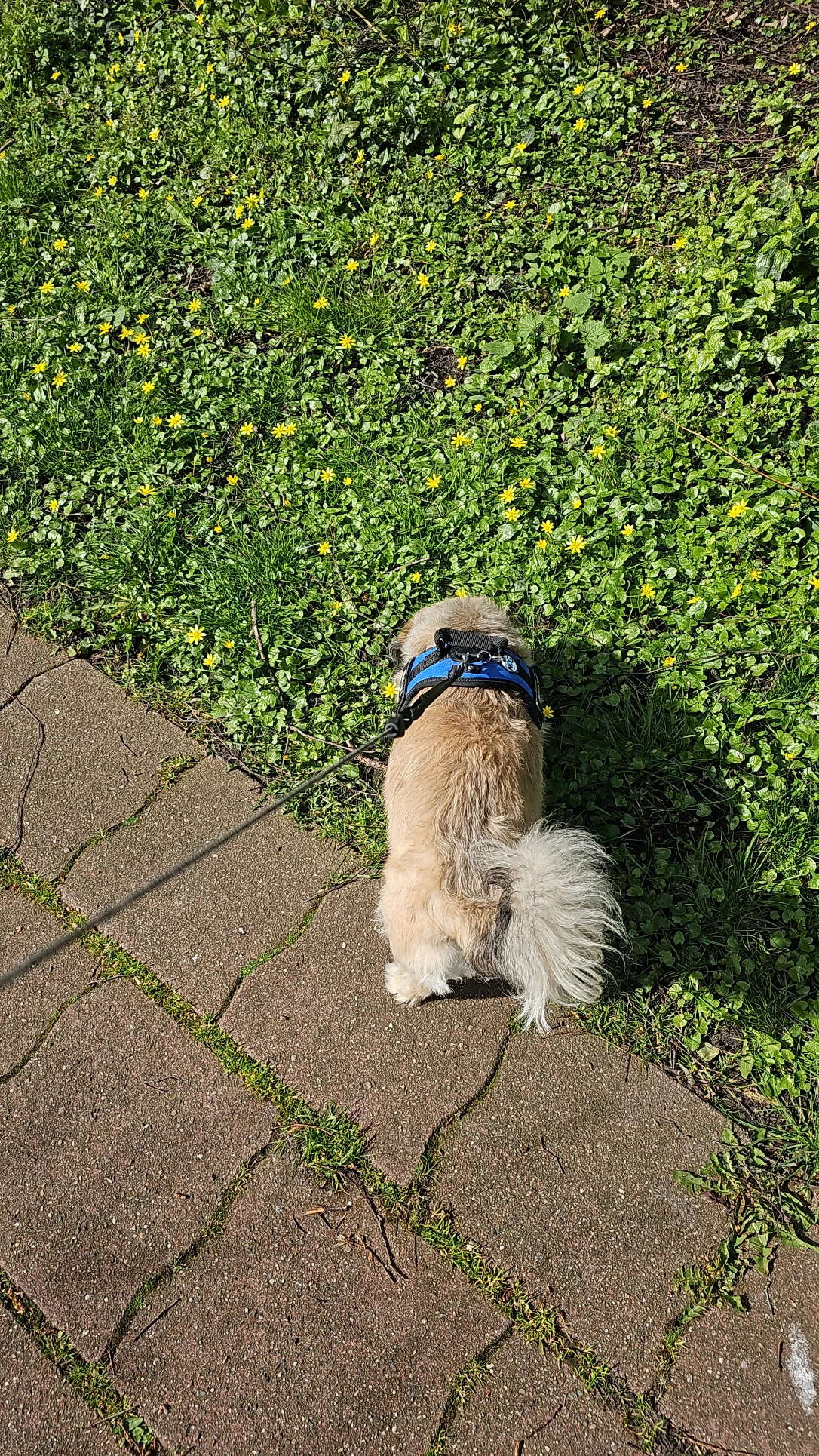 image-17