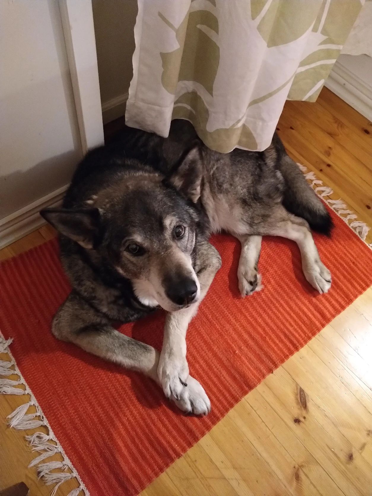 image-9