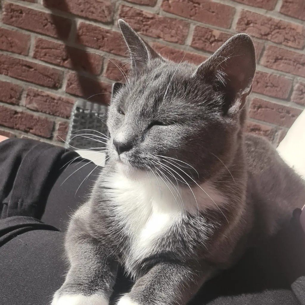 Päivi