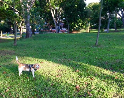 image-17