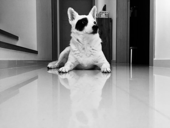 image-41