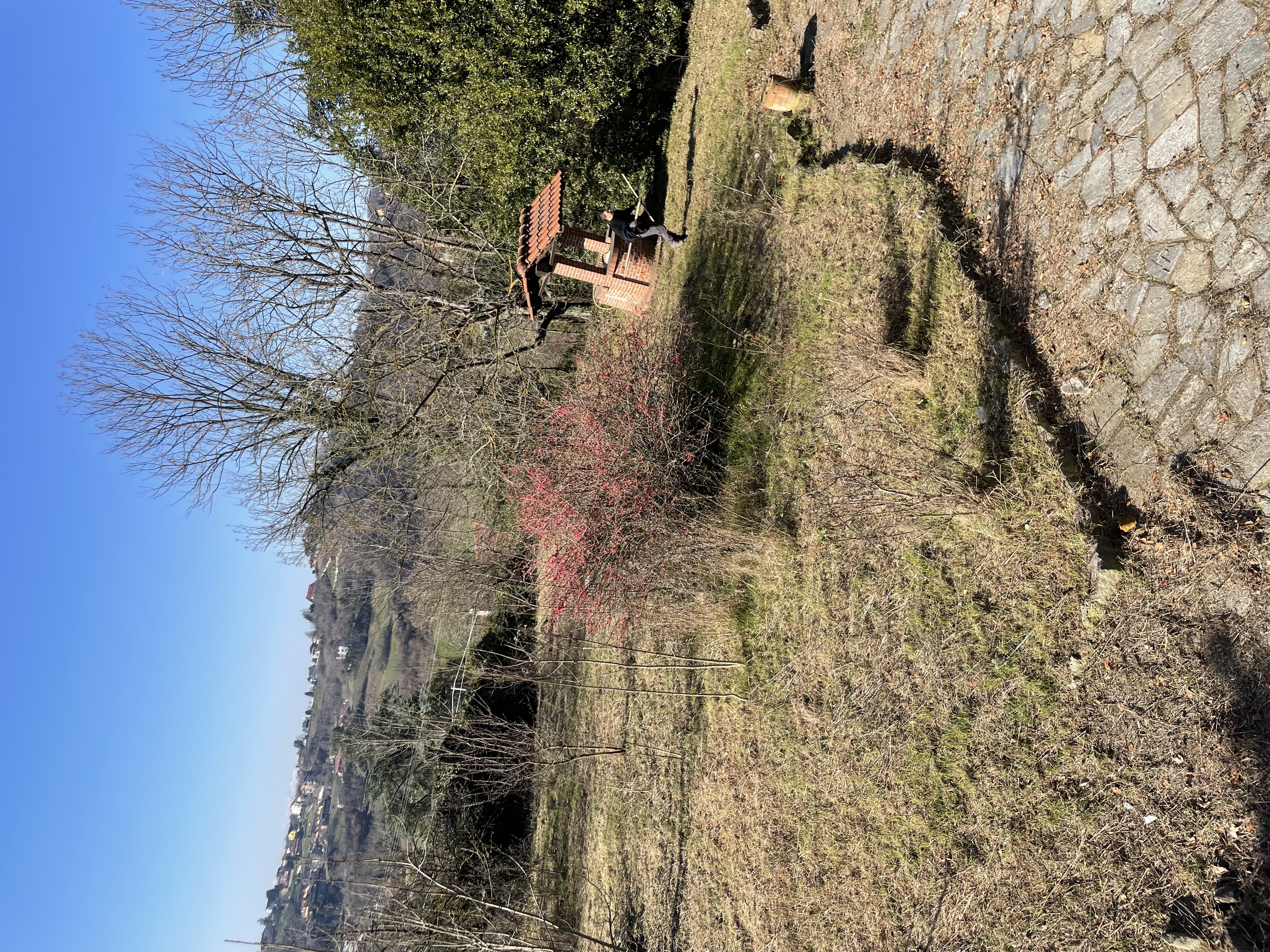 image-12