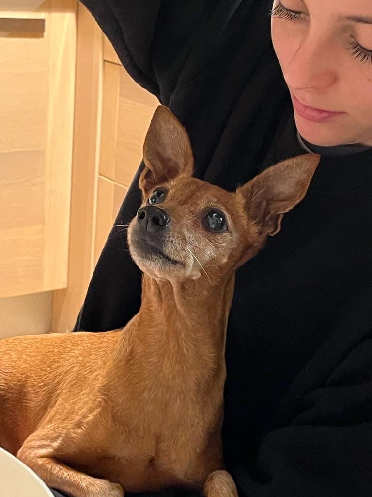 image-1