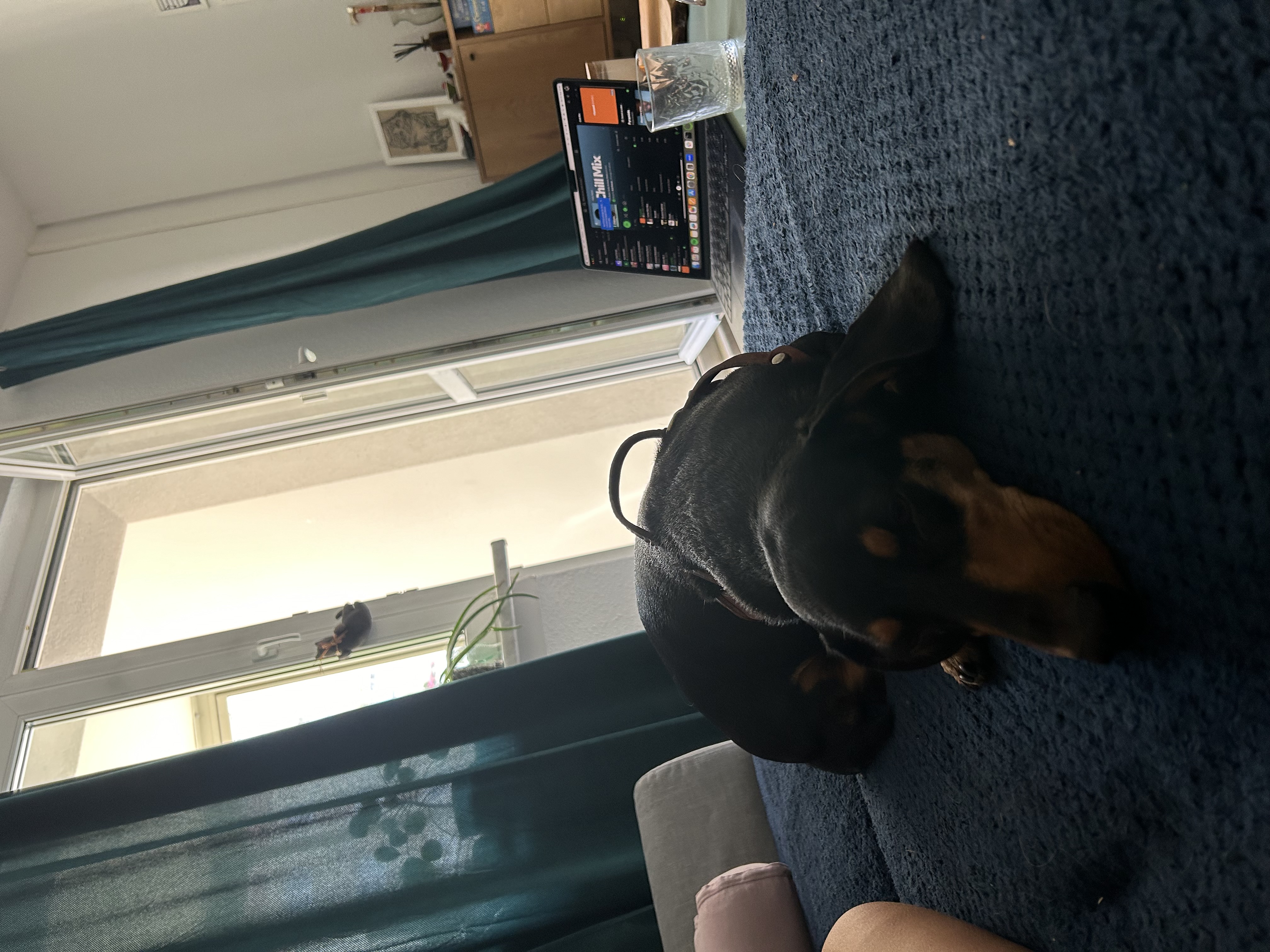 image-10