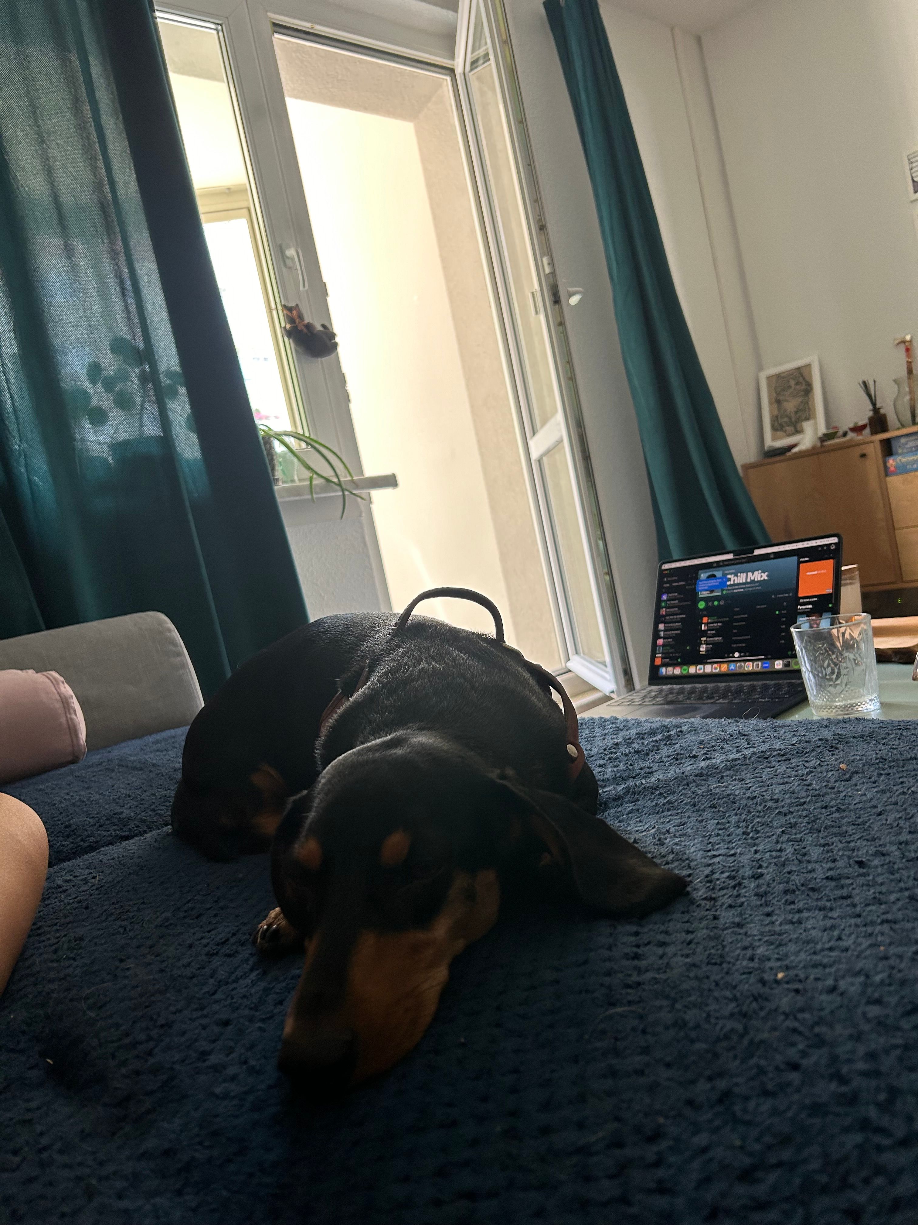 image-10