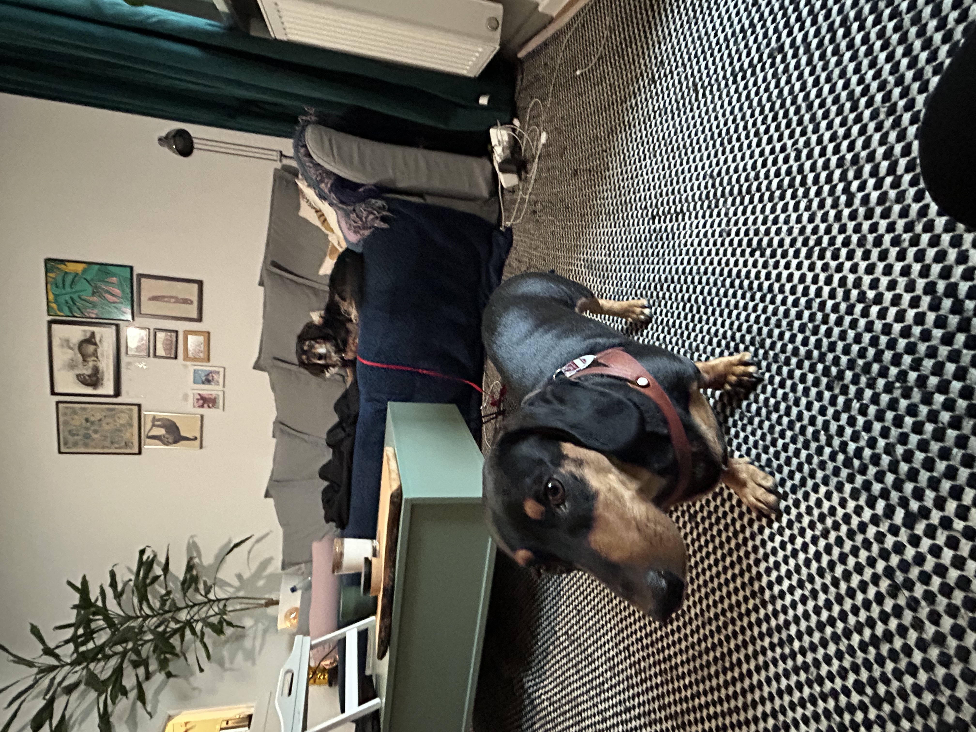 image-7