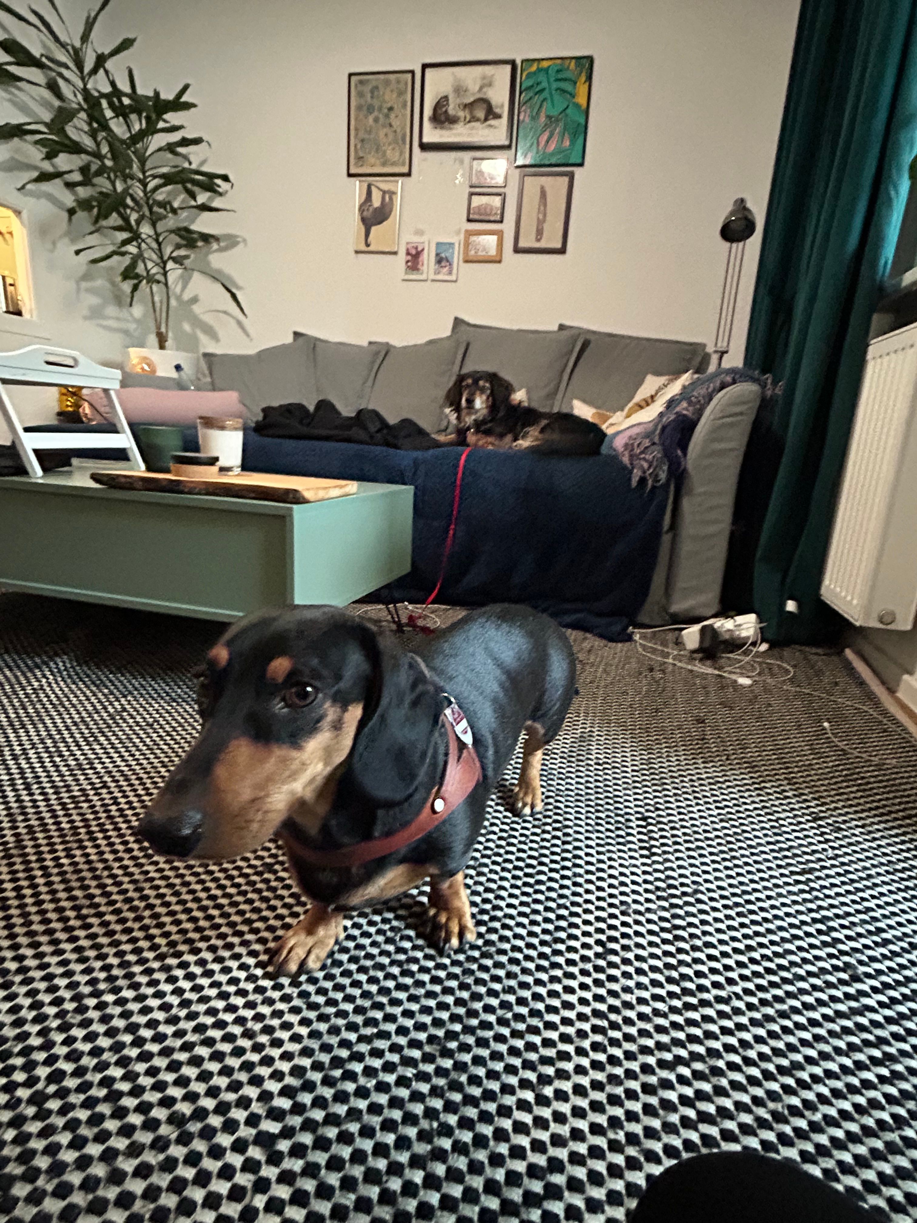 image-7