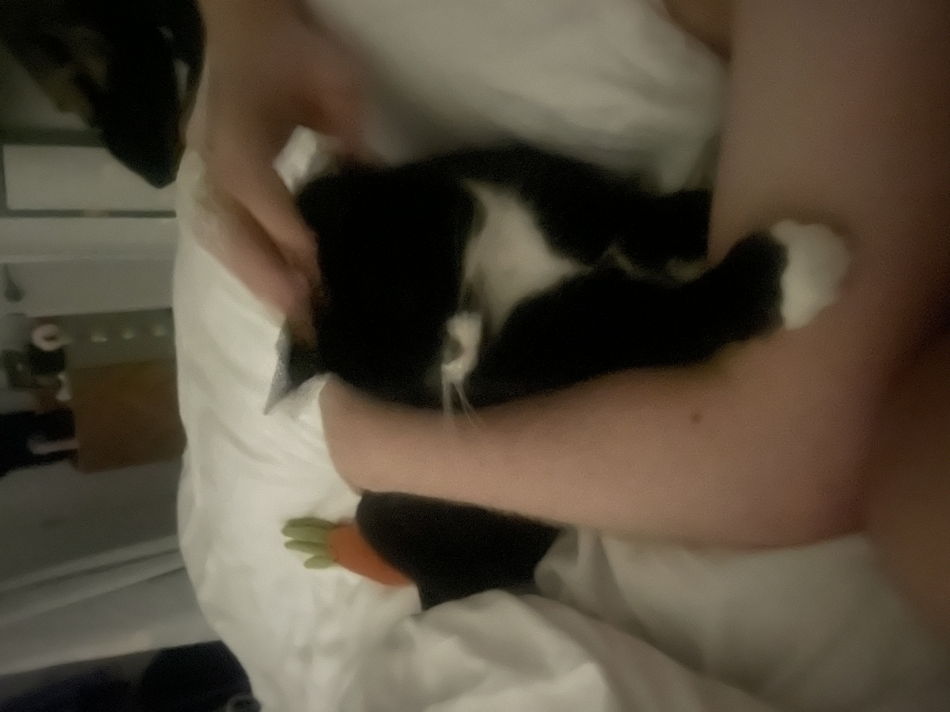 image-8