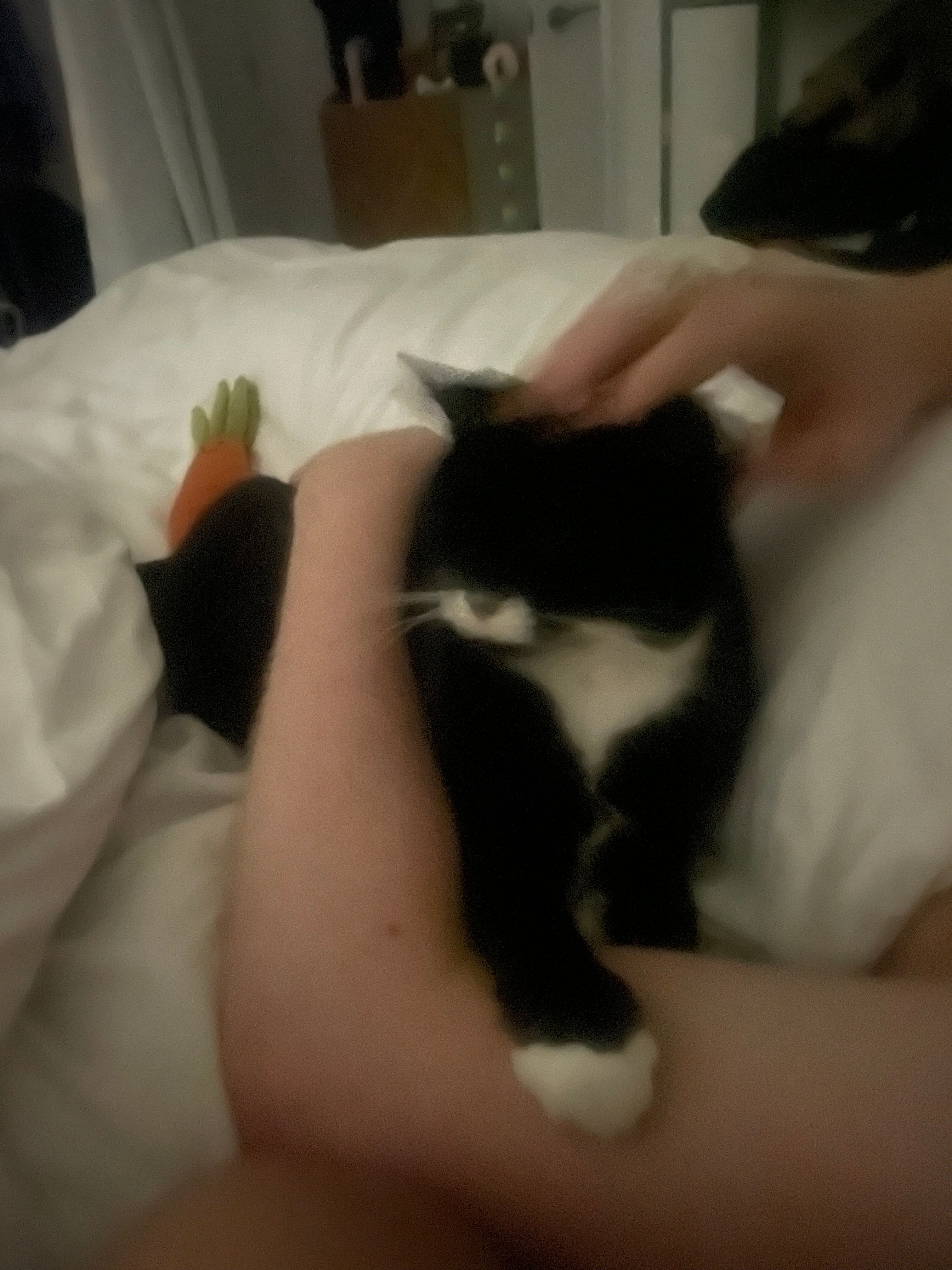 image-8