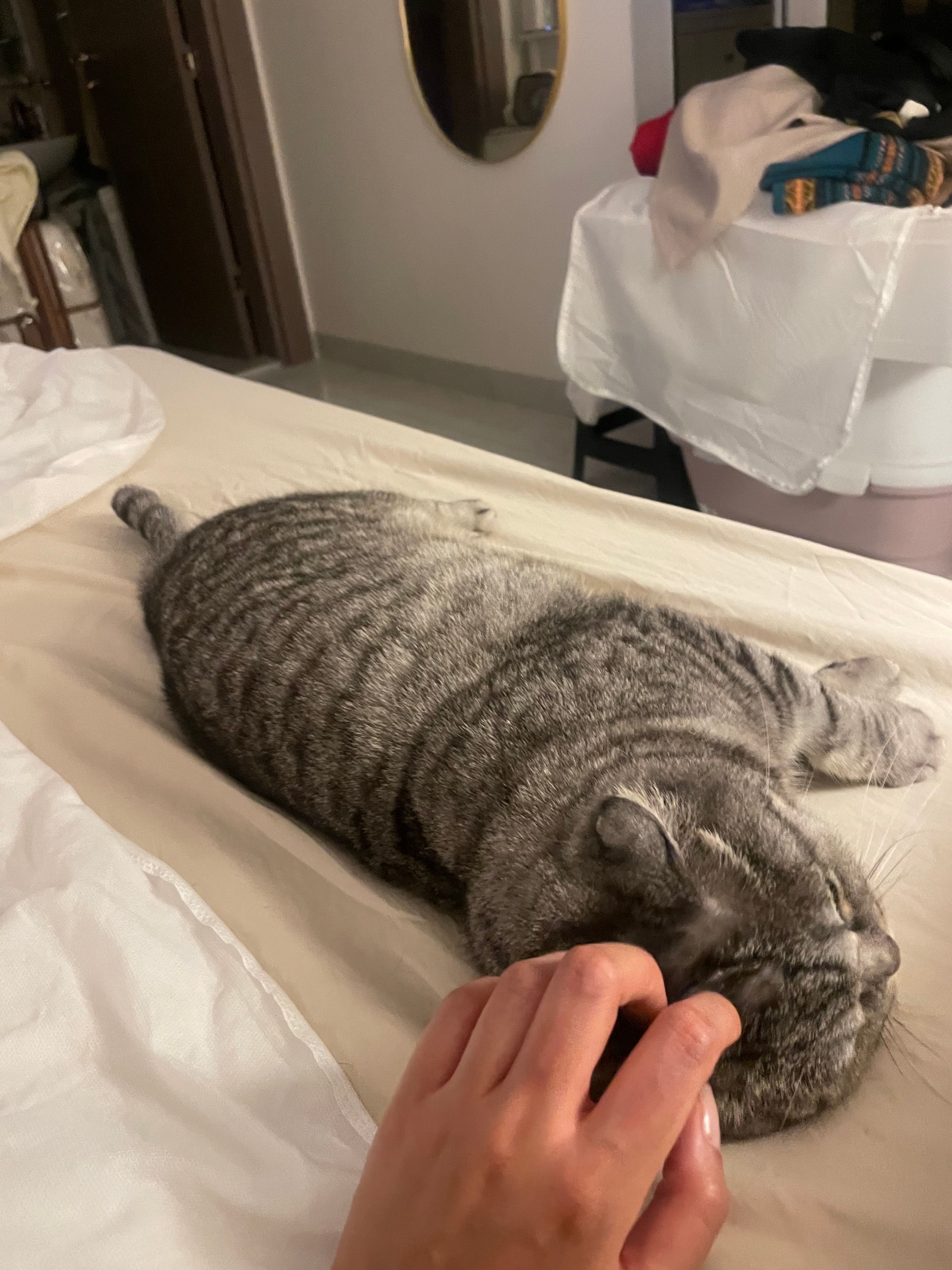 image-9
