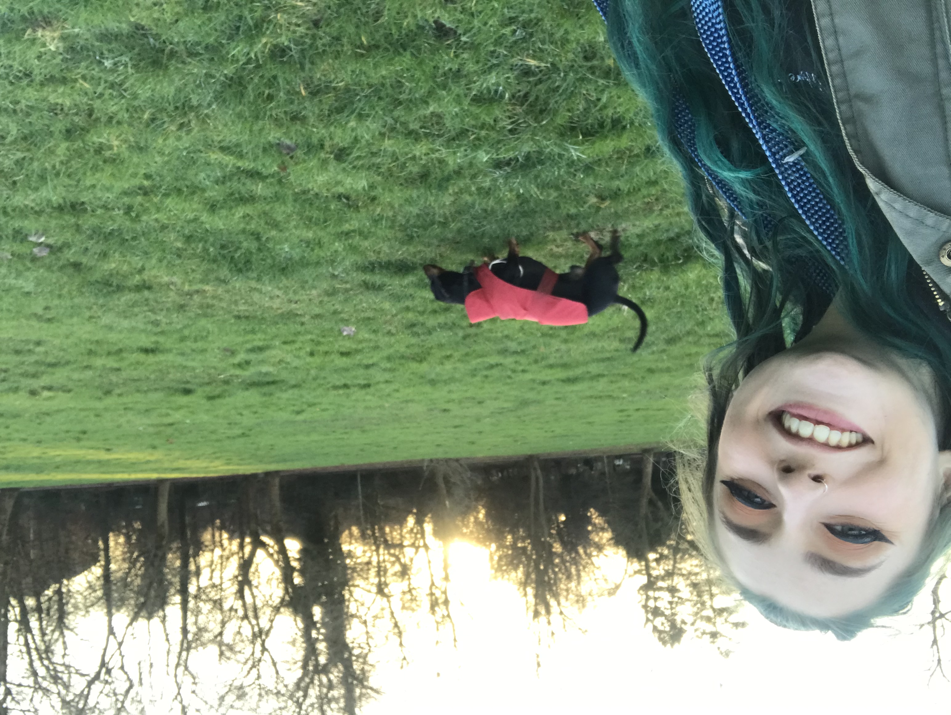 image-4