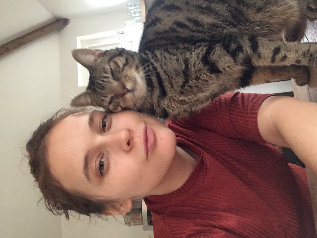 image-11