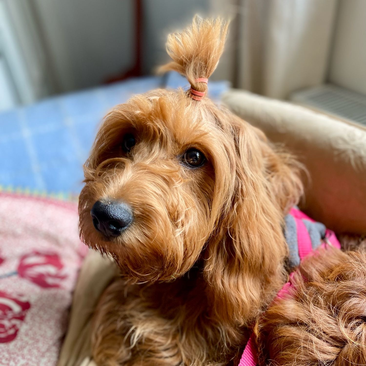 Winnie 