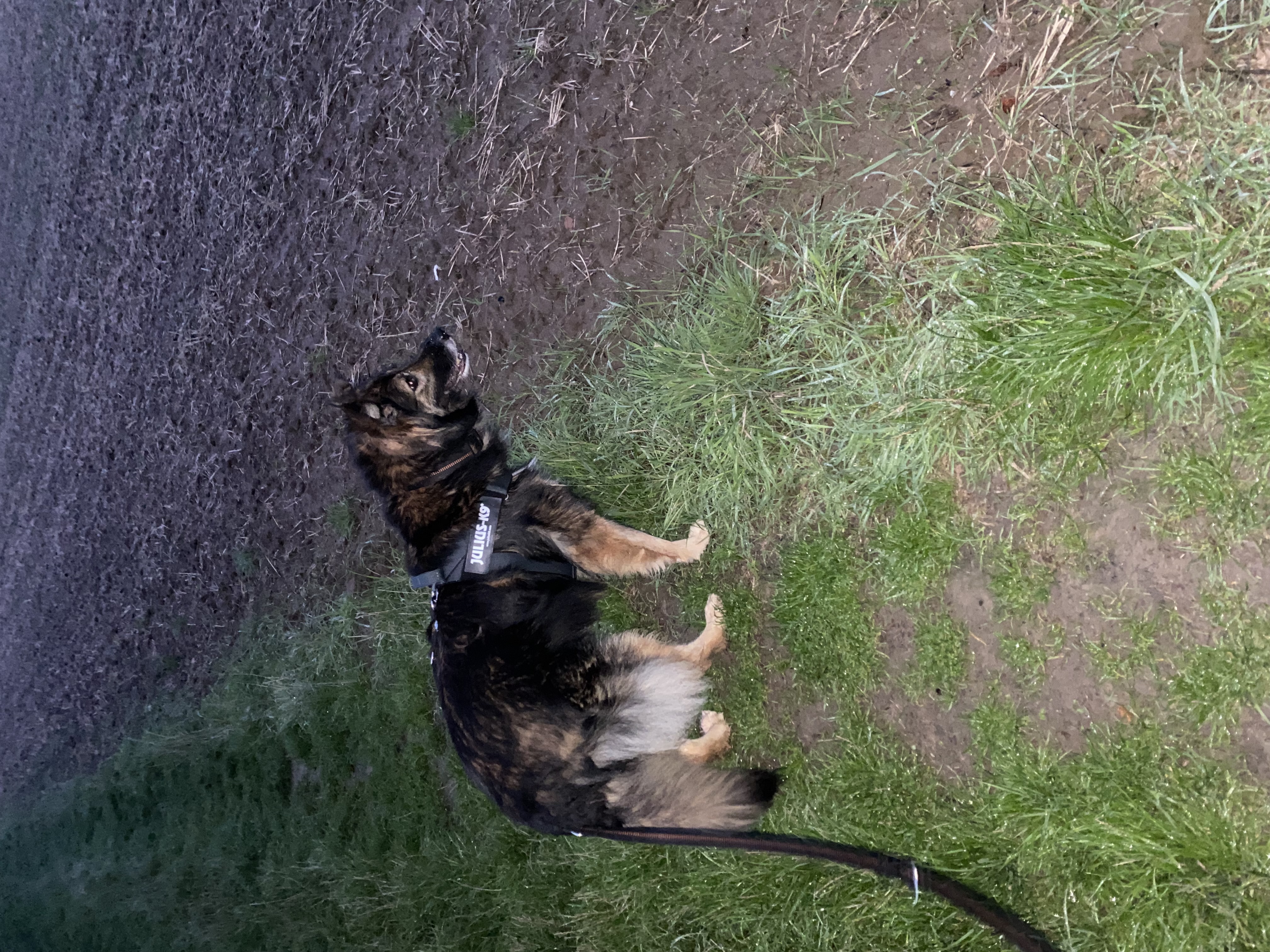 image-5