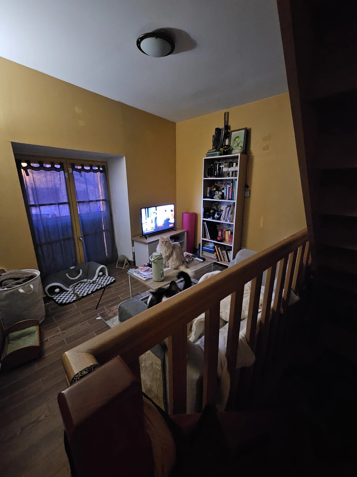 image-12