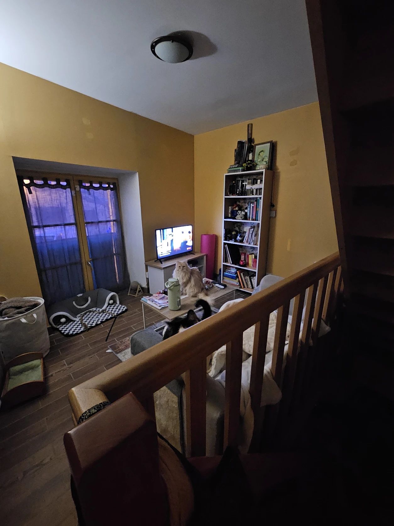 image-12