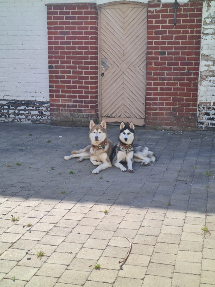 image-8