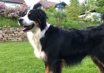 Lena