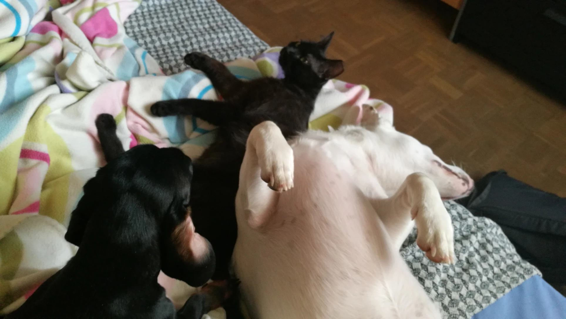image-5