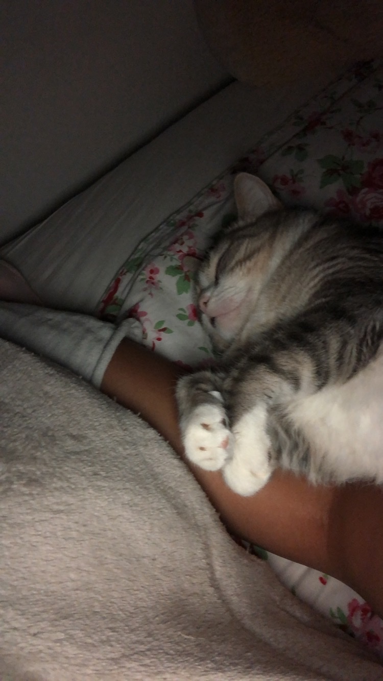 image-7