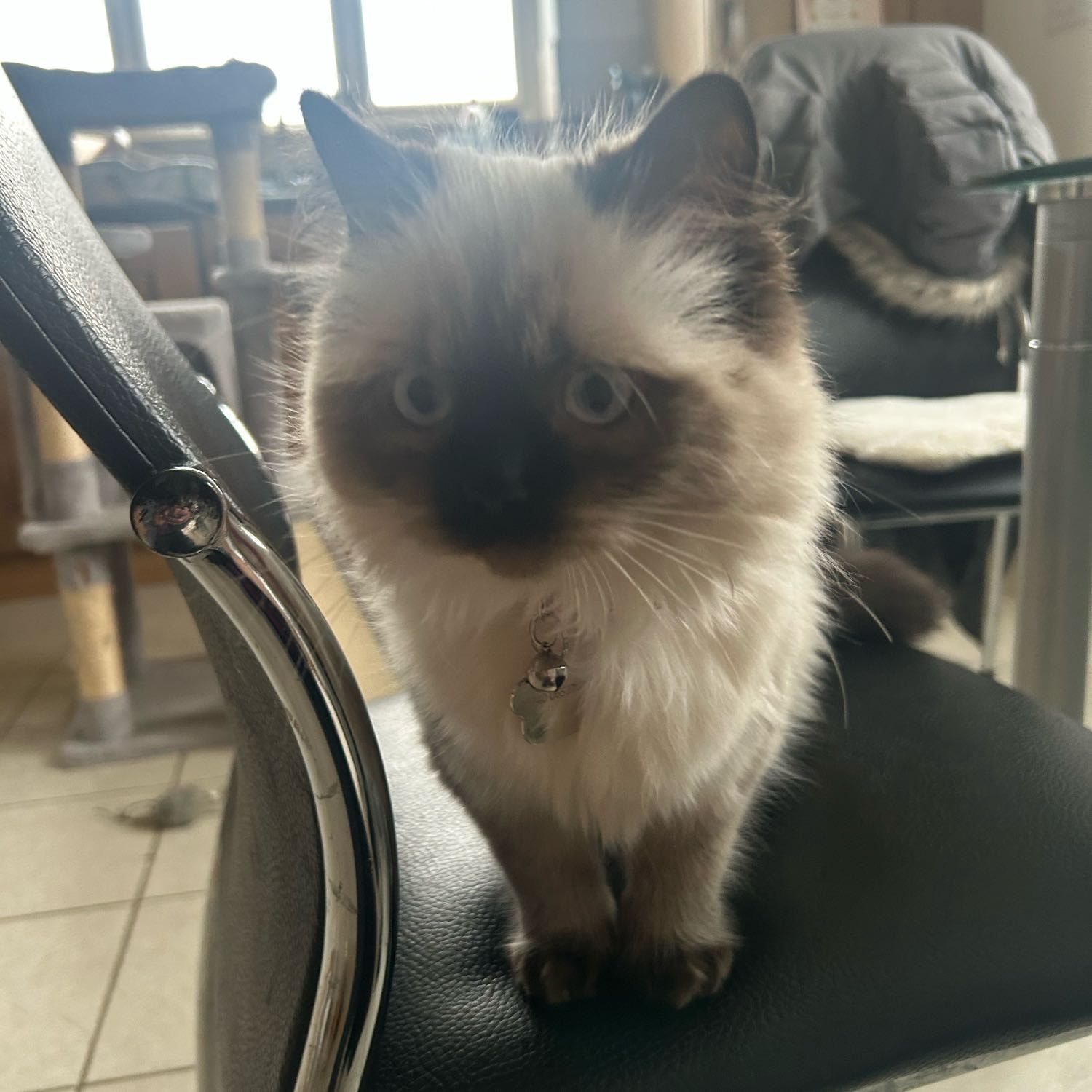 Fluff